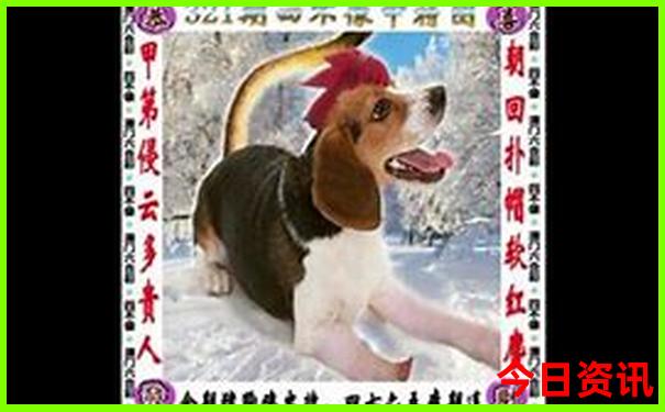 内幕澳门深度解读管家婆100全新体验准确免费全新资料-新天天彩免费资料大全